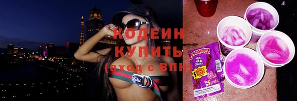 apvp Бородино