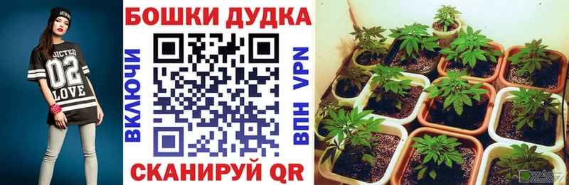 Конопля гибрид  даркнет сайт  Семёнов 